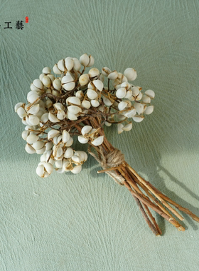 【小白果】天然植物干花干果手工diy材料插花标本乌桕果小白豆