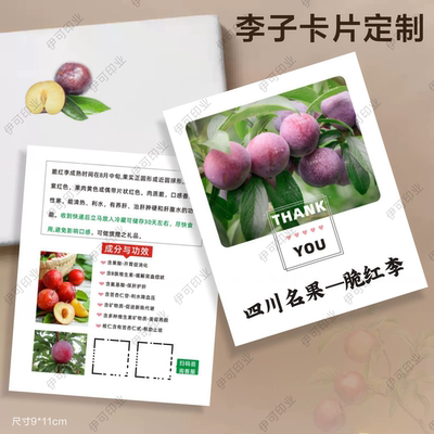 黑布林冰糖李青脆李蜂蜜李卡片定制采摘食用说明温馨提示小卡片