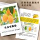 芒果宣传卡片定制水果产品说明温馨提示广告明信片小卡片定制印刷