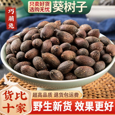 葵树子野生中药材500g精选广西大粒葵树籽老果葵扇子葵扇籽蒲葵籽