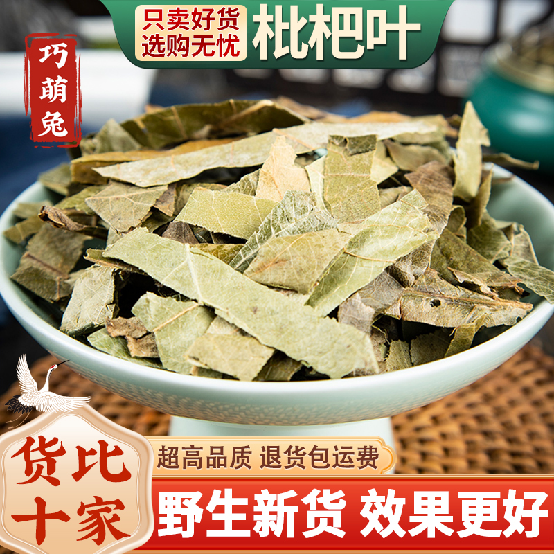 野生枇杷叶中药材500克/250/100g枇杷叶干货新货去毛生枇杷叶泡茶
