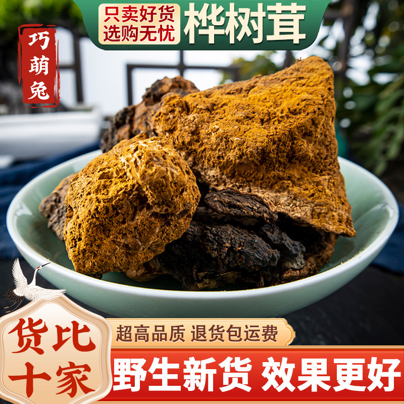 桦树茸 中药材 野生桦树茸 桦树泪菇胆 白桦茸桦褐孔菌500g克包邮