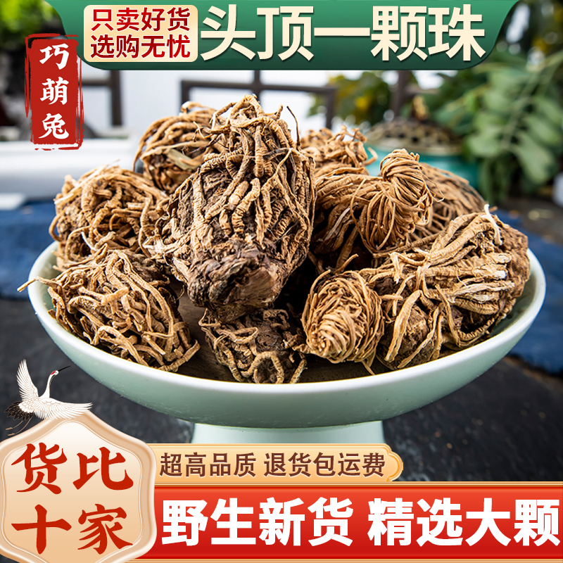 头顶一颗珠中药材 芋儿七 蛇头草 蜂斗菜 狮儿七 玉儿七 佛手七