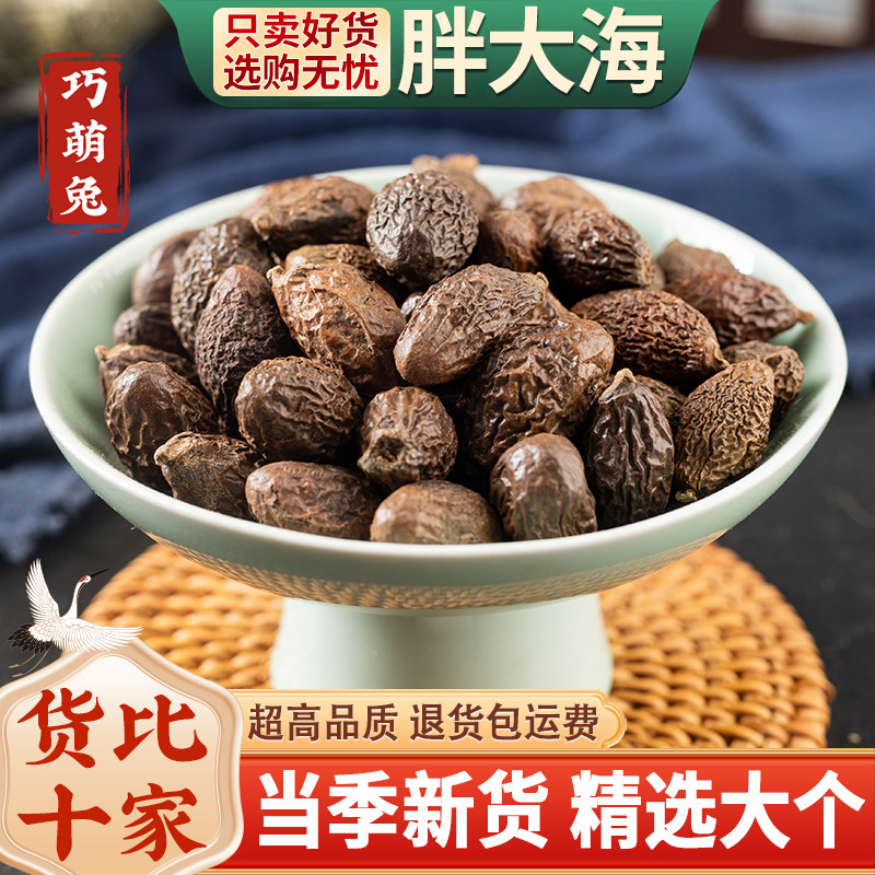 胖大海100g泡水胖大海果茶罗汉果散装可搭赔罗汉果菊花甘草枇杷叶