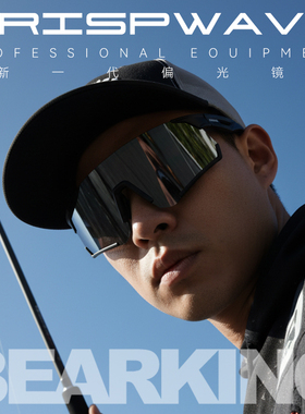 熊王BearKing偏光镜墨镜垂钓户外防紫外线全镀膜眼镜黑银两色
