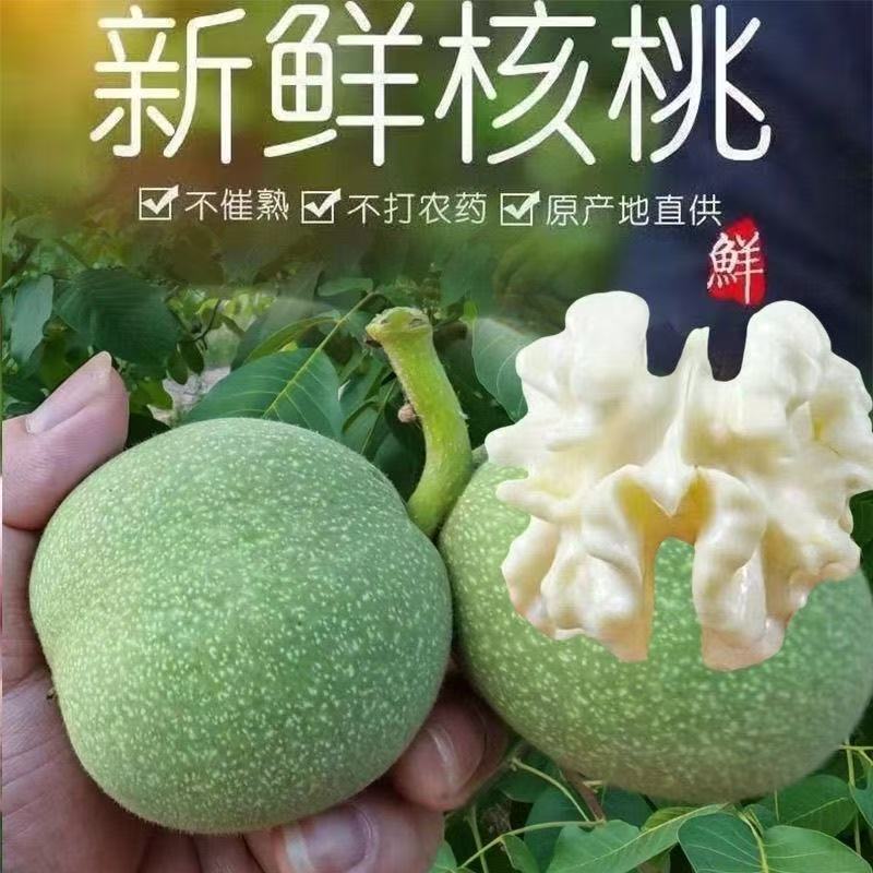 （青皮核桃）新疆阿克苏185纸皮核桃正宗薄皮原味原生态新鲜现摘