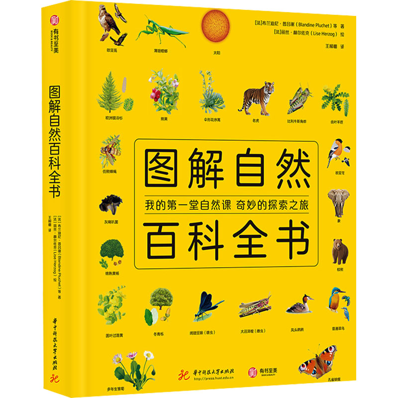 我的堂自然课奇妙的探索之旅 小学生自然科学启蒙书 精美插图 亲子互动 科学探索 9787568063500