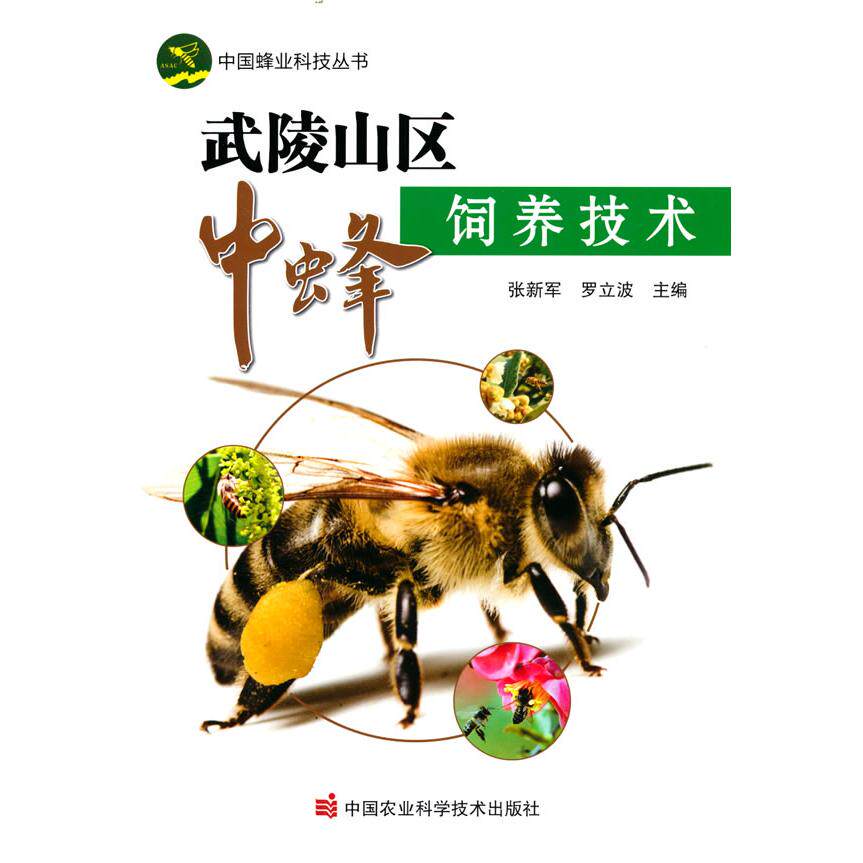 武陵山区中蜂饲养技术 武陵山区中蜂 饲养技术详解 新手养蜂指南 科学管理方法 病虫害防治 蜂蜜高产技巧 9787511657299