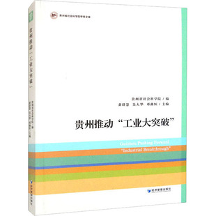 正版 吳大華 經濟管理出版 社 黃群慧 9787509688243 工業大突破 貴州推動 包郵 鄧曲恒主編