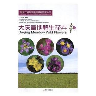 张兴 等 主编 正版 哈尔滨出版 大庆草地野生花卉 9787548438465 社 包邮