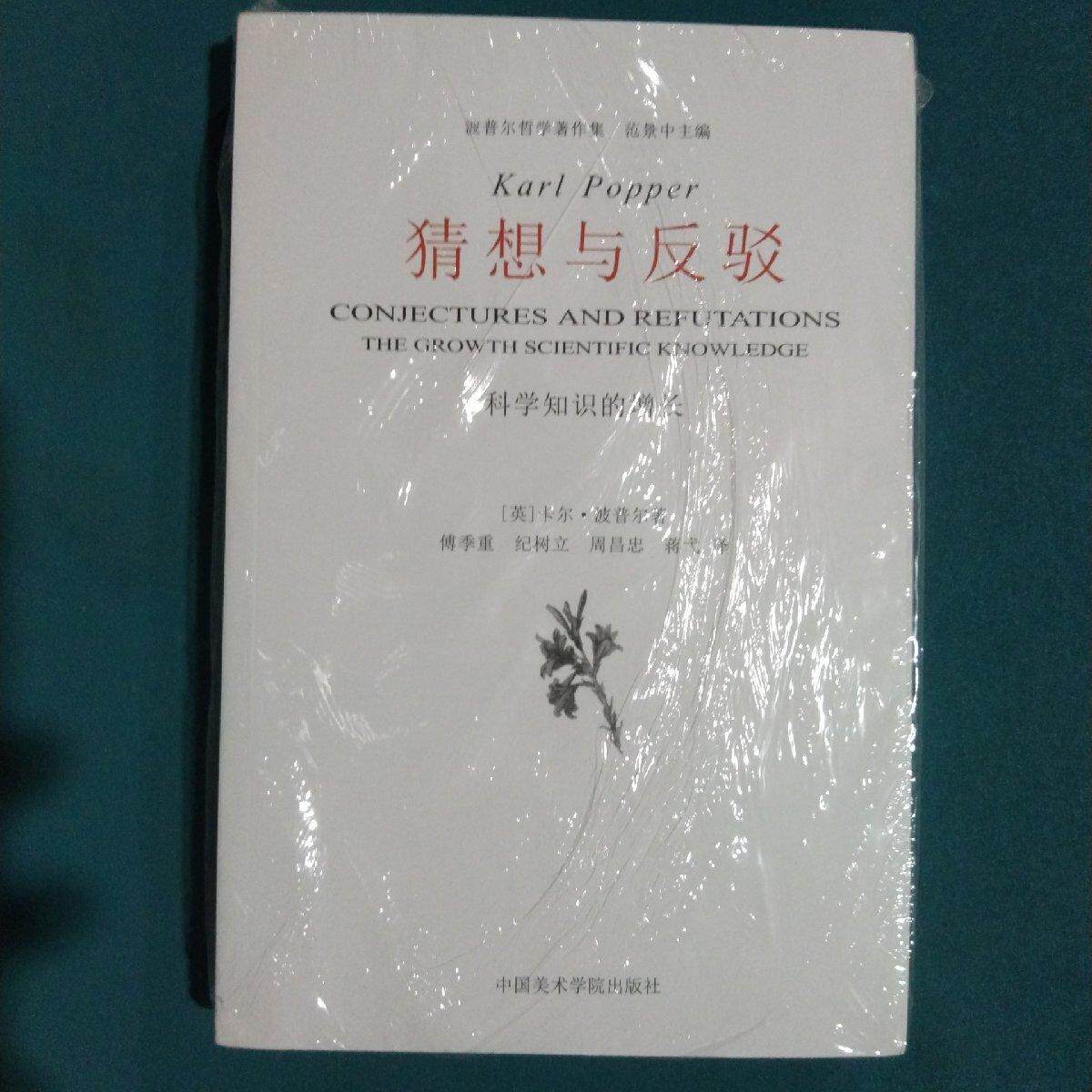 猜想与反驳(科学知识的增长) 猜想与反驳 科学知识增长 伪理论 科学哲学 学术经典 波普尔著作 逻辑思维 思想启蒙 9787810832328