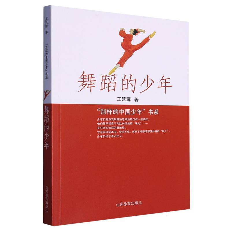 正版包邮 舞蹈的少年/别样的中国少年书系 王延辉|责编:杜聪//樊学梅 9787570125425 山东教育