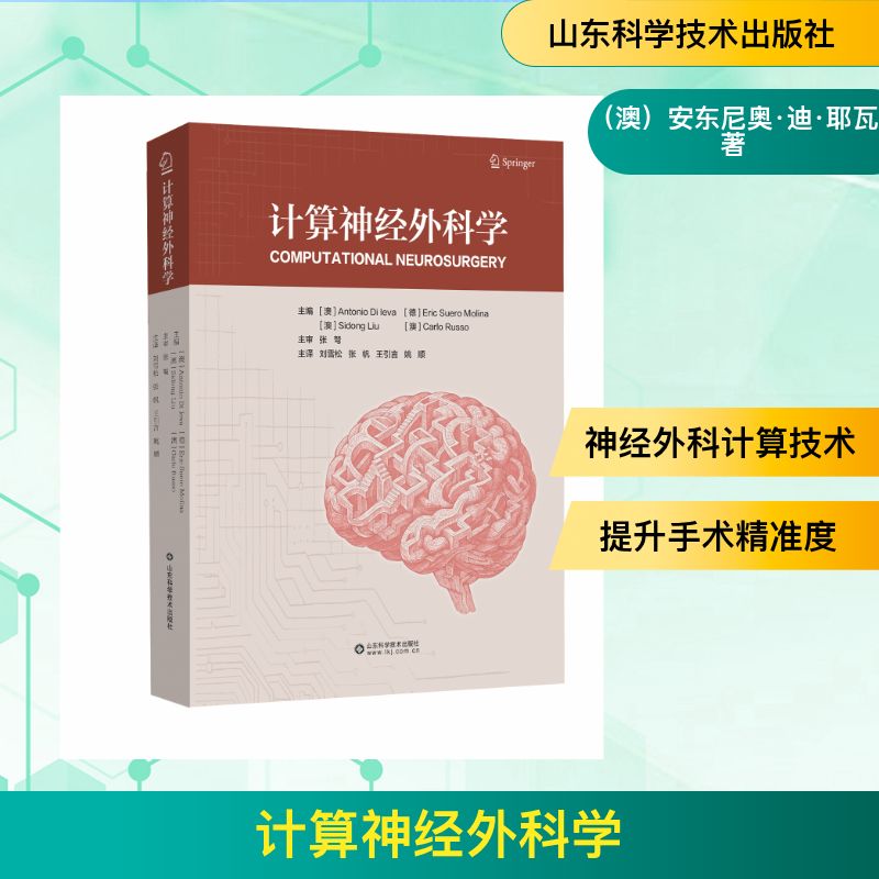 正版包邮 计算神经外科学 (澳)安东尼奥·迪·耶瓦 著 9787572330704 山东科学技术出版社