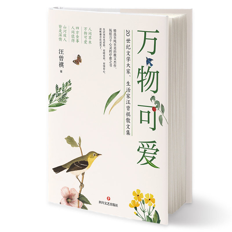 万物可爱 全彩插图 治愈心灵 生活美学 温暖故事 自然之美 经典案例 提升审美 精美图片 治愈日常9787541166839