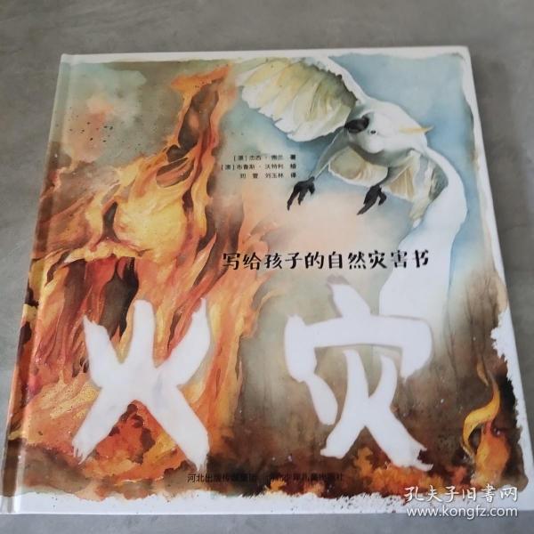 写给孩子的自然灾害绘本(4册套装) 儿童安全绘本 4册套装 自然灾害科普 全彩插图讲解 安全知识 子读教材 9787559523020