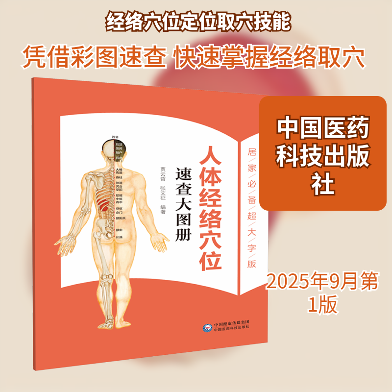人体经络穴位速查大图册 中医养生入门 600+位解 零基础速查 家庭工具书 9787521455236