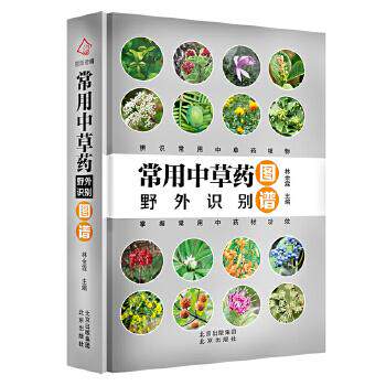 常用草野外识别图谱 常用草 野外识别图谱 实用手册 快速识别技巧 图文并茂 常见品种 中医入门 户外生存 9787200156331