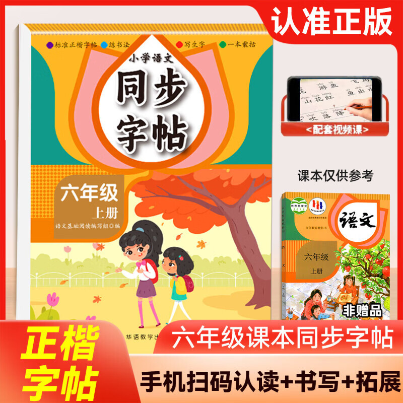 正版包邮 小学语文同步活页字帖六年级上 王君校 9787513826068 华语教学
