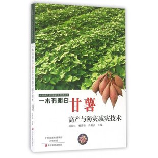 农作物高产与防灾减灾技术系列丛书 编者 总主编 包邮 张新友 肖利贞 一本书明白甘薯高产与防灾减灾技术 杨育峰 正版 杨国红