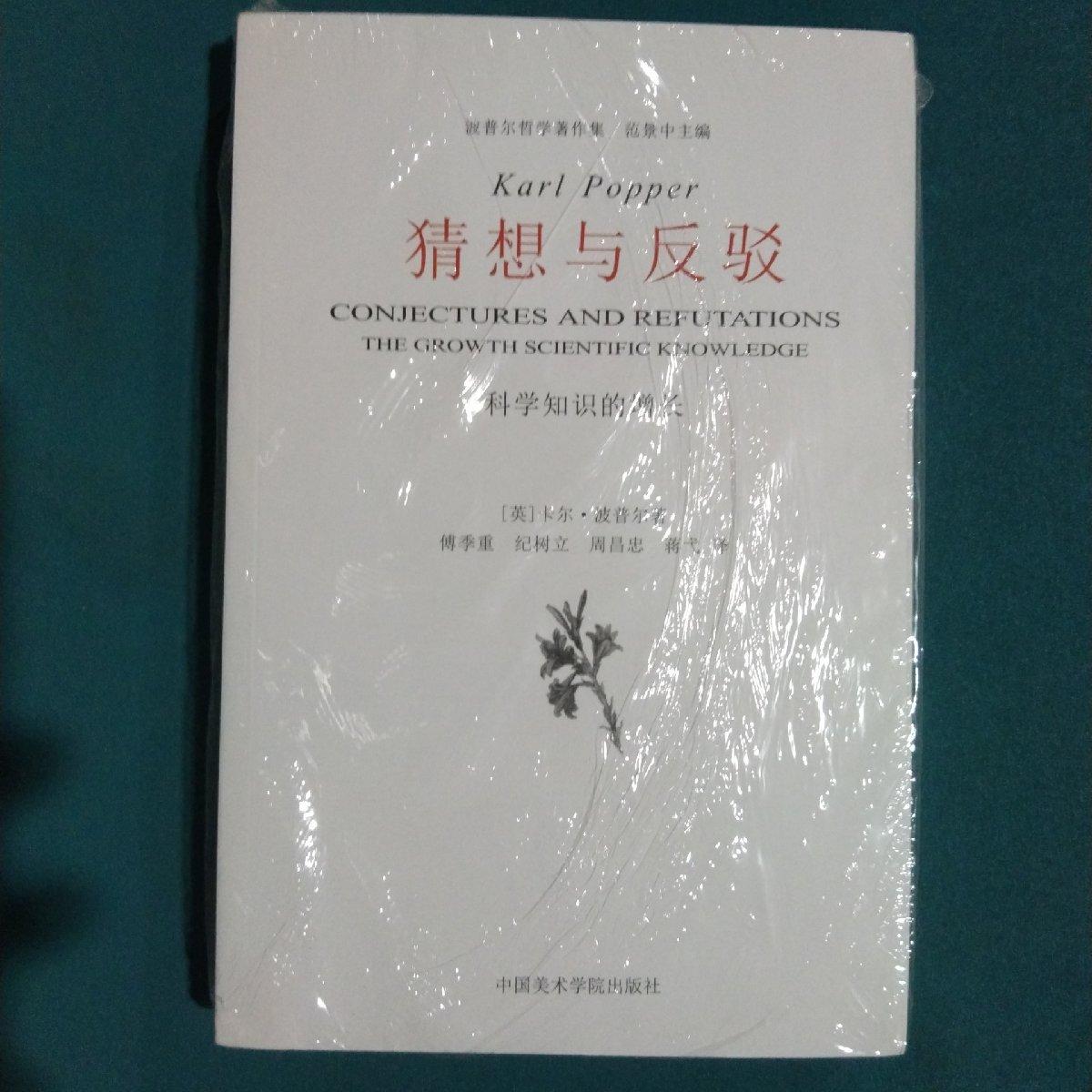猜想与反驳(科学知识的增长) 猜想与反驳 科学知识增长 伪理论 科学哲学 学术经典 波普尔著作 逻辑思维 思想启蒙 9787810832328