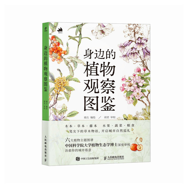正版包邮 身边的植物观察图鉴 晓左 9787115690999 人民邮电