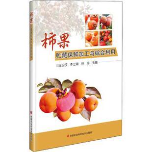 正版包邮 柿果贮藏保鲜加工与综合利用 段玉权，李江阔，林琼主编 9787511650238 中国农业科学技术出版社