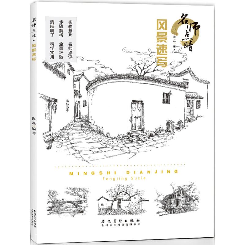 名师点睛(风景速写) 风景速写教程 名师技法点睛 零基础学速写 步骤分解教学 经典案例赏析 手绘技巧大全 9787539882345