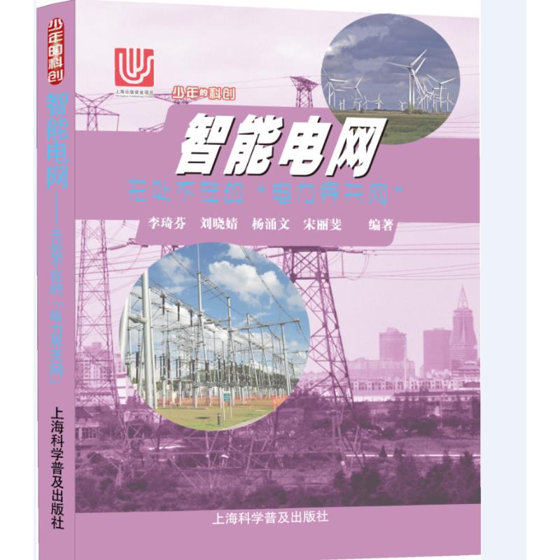 正版包邮 智能电网 无处不在的