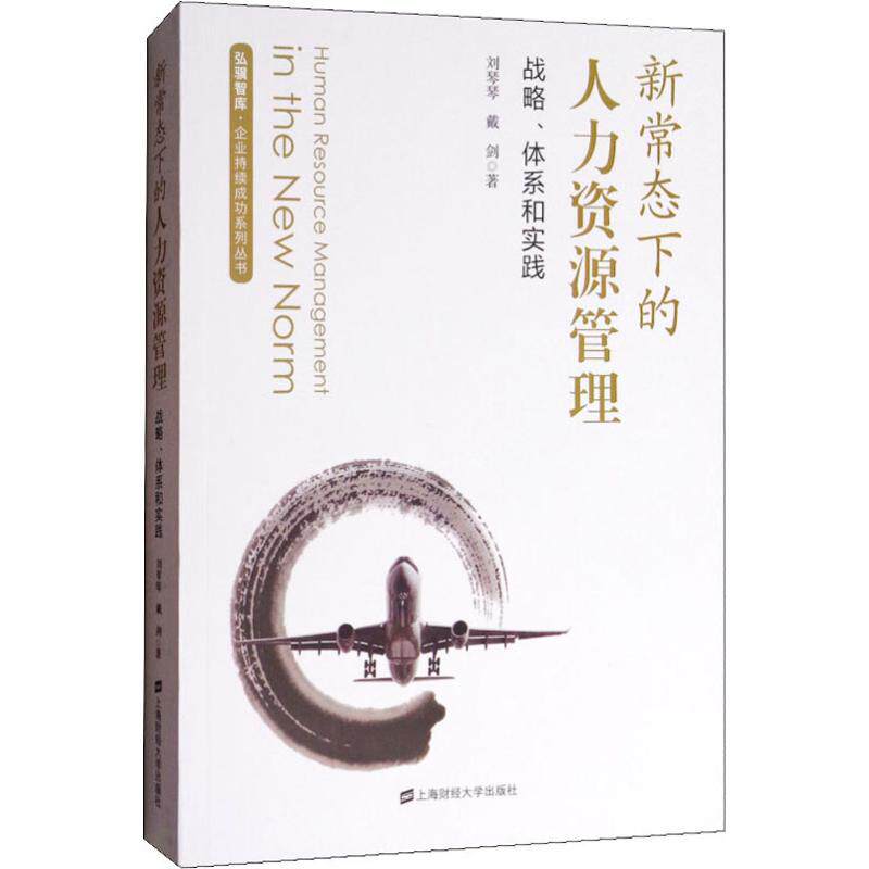 新常态下的人力资源管理 战略、体系和实践：企业持续成功系列丛书 新常态 人力资源 战略体系 实践指南 企业管理 9787564228118