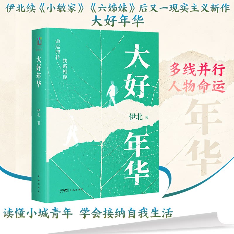 大好年华 青春成长故事 时光感悟指南 励志人生启示 情感回忆散文 自我提升 人生智慧分享 岁月沉淀感悟 9787574907072