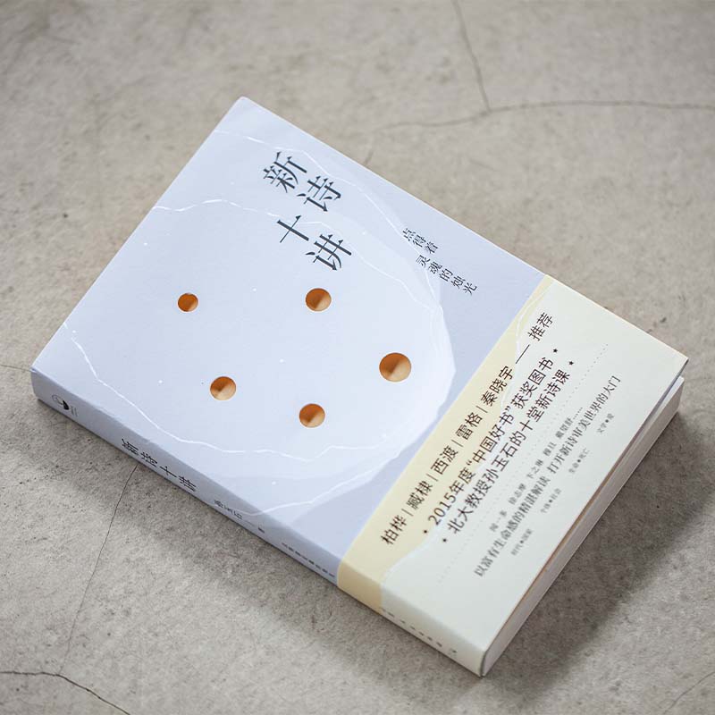 新诗十讲 青少年文学启蒙 系统讲解现代诗歌 文学教授主讲 精美插图 提升写作能力 9787209139168