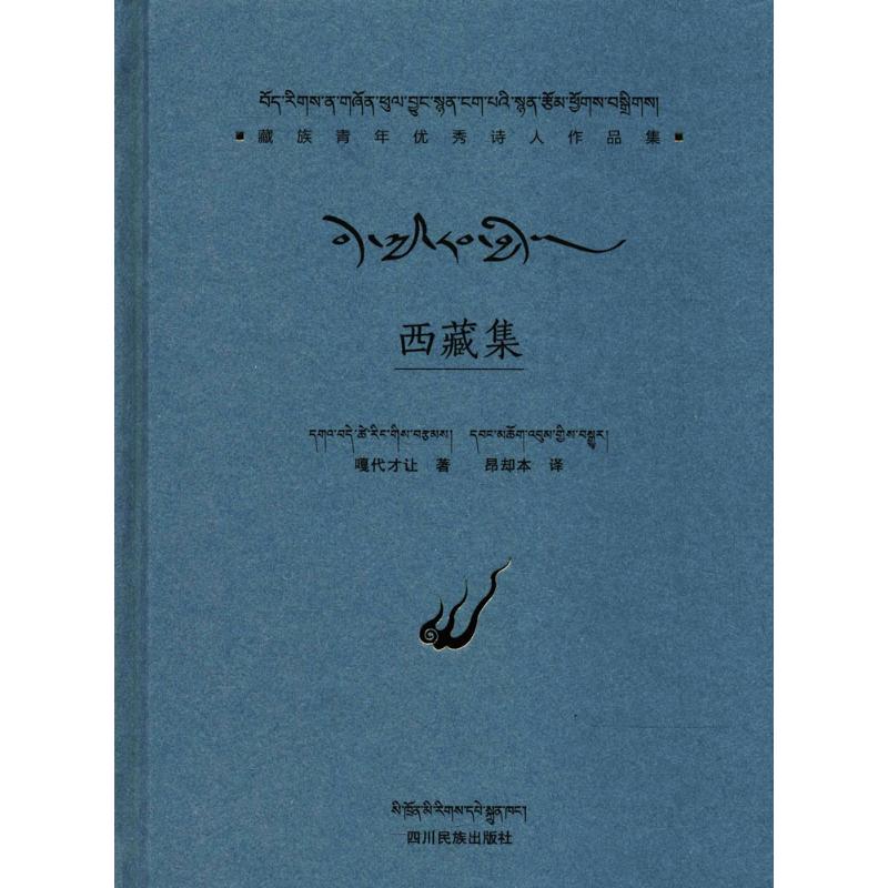 西藏集 雪域高原风光 藏族人文纪实 布达拉宫探秘 旅行见闻故事 精美图片集 文化深度解读 心灵治愈散文 9787540973261