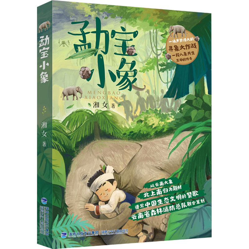 勐宝小象 小象成长故事 儿童启蒙绘本 西双版纳动物 子读 全彩彩绘插画 温暖治愈故事 4-6岁阅读 9787539577517