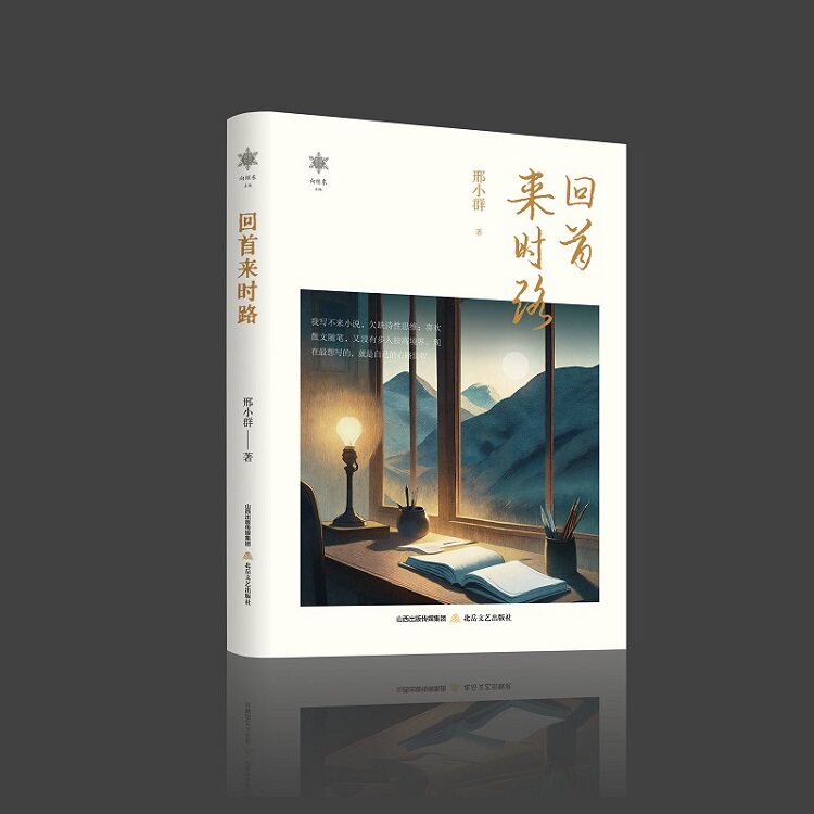 回首来时路 人生感悟 成长历程 岁月回忆 经典回顾 人生智慧 深度思考 心灵治愈 真实故事 人生抉择9787537868556