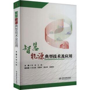 正版包邮 智慧能源典型技术及应用 张斌,王锋 9787522624105 中国水利水电出版社