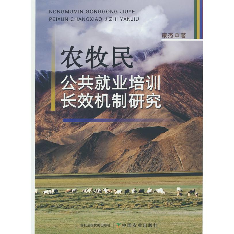 正版包邮 农牧民公共就业培训长效机制研究 康杰 著 9787109324466 中国农业出版社有限公司
