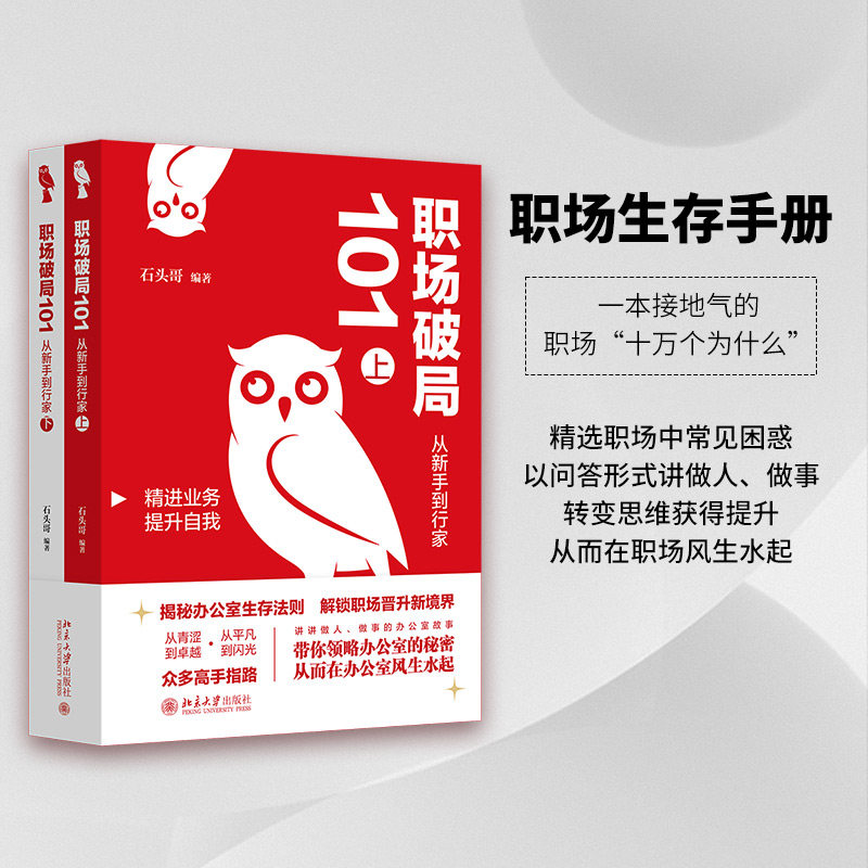 职场破局101从新手到行家上下册 职场迷茫 101个升职加薪技巧 系统知识体系你成长 9787301361269