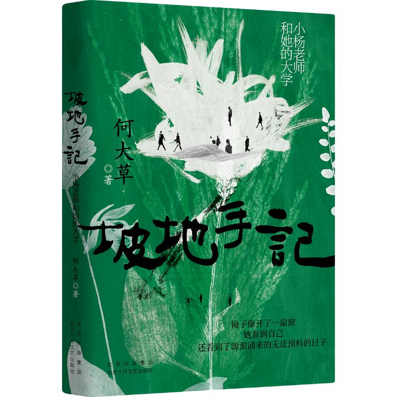 正版包邮 坡地手记 小杨老师和她的大学 何大草  著 ，新经典  出品 9787530223598 北京十月文艺出版社
