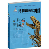 包邮 新蕾出版 破译化石密码 张云霞 正版 787530762585 匡学文 孙阳 社