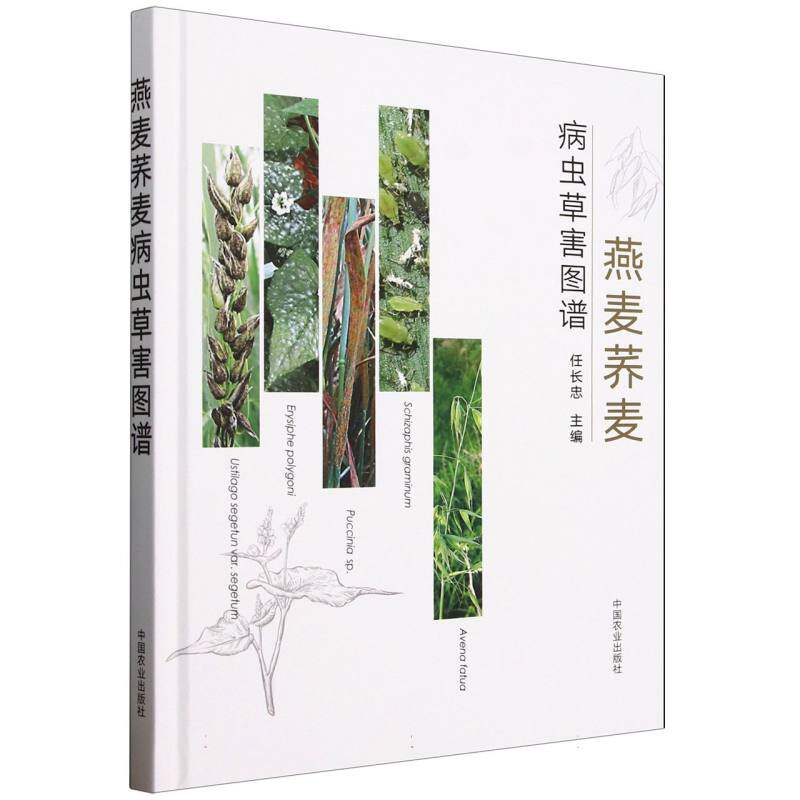 燕麦荞麦病虫草害图谱 高清图谱识别 病虫草害防治 种植户手册 农业技术参考 ISBN9787109329140