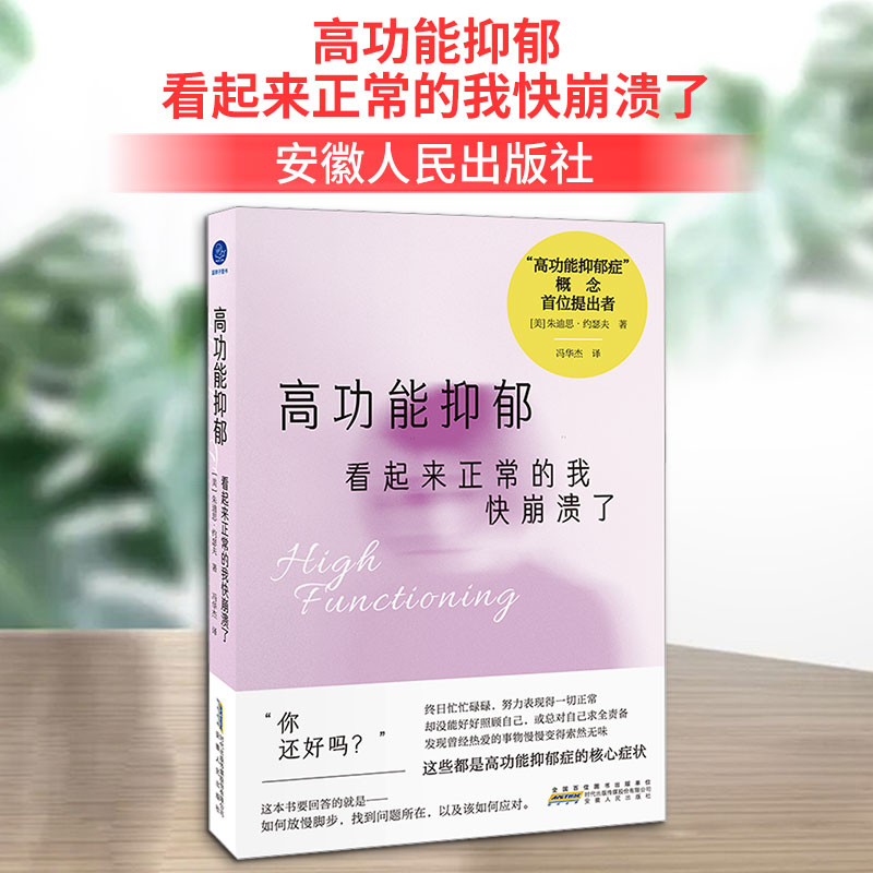 正版包邮 高功能抑郁 看起来正常的我快崩溃了(“高功能抑郁症”概念提出者,“五V疗法”告别自我牺牲与自我破坏)