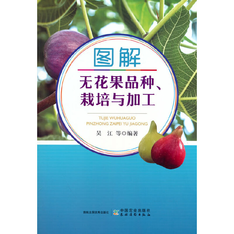 图解无花果品种栽培与加工 新手入门 种植技巧 品种识别 栽培技术 加工工艺 全彩图解 经典案例 种植手册 实用技巧9787109303911
