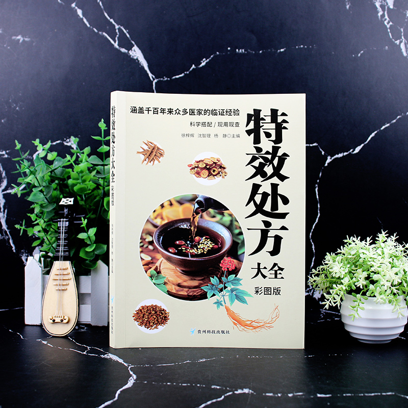 正版包邮 处方大全-白皮 徐梓辉，沈智理,杨静主 编, 9787553214283 贵州科技出版社