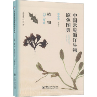 植物 中国常见海洋生物原色图典 张超 9787567017047 社 正版 中国海洋大学出版 包邮