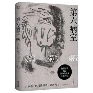 正版包邮 第六病室 何楚涵 9787201203232 天津人民