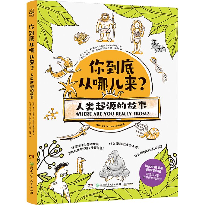 你到底从哪儿来 人类起源的故事 人类起源的故事 儿童科普 趣味解读 科学启蒙 全彩插图 解读9787556276134