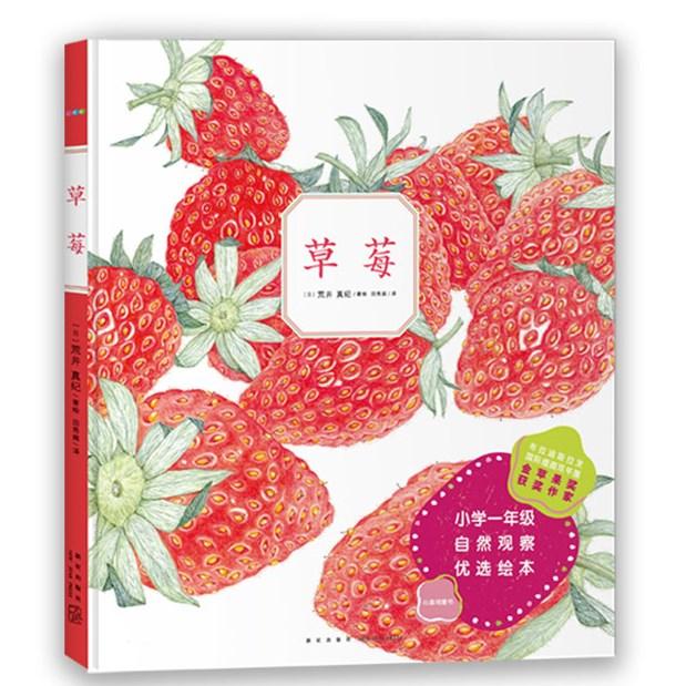 草莓 草莓食谱大全 甜品制作教程 烘焙步骤详解 新手入门指南 亲子烹饪互动 创意草莓料理 草莓果酱配方 9787513345224