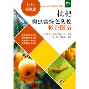 正版包邮 枇杷病虫害绿色防控彩色图谱 张斌,夏忠敏 编 9787109294400 中国农业出版社