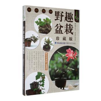 正版包邮 野趣盆栽:珍藏版 林国承著 9787533545758 福建科学技术出版社