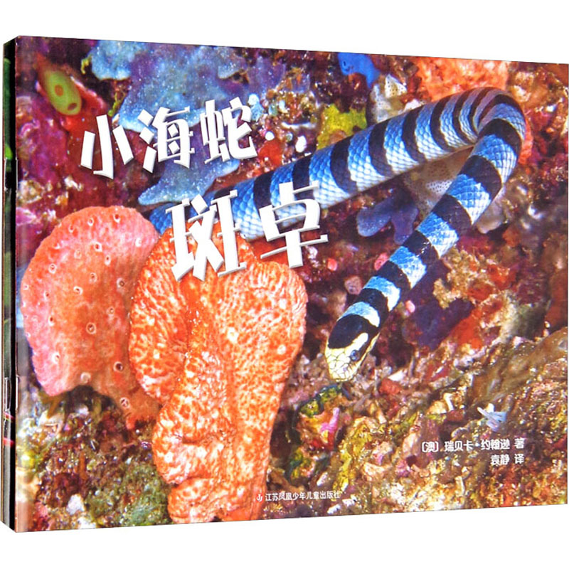 你发现了吗 第2辑(全2册) 科普发现 儿童读物 趣味知识 探索奥秘 知识启蒙 科学常识 图文并茂 全2册 9787558412080